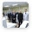 Prime Minister Vladimir Putin, on a working visit to the Tver Region, attends the commissioning ceremony of the fourth reactor at the Kalininskaya Nuclear Power Plant, which is in pilot production mode