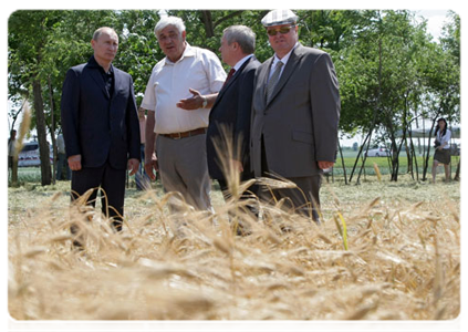 Prime Minister Vladimir Putin visiting an agricultural cooperative during his working trip to the Rostov Region|23 june, 2011|18:20